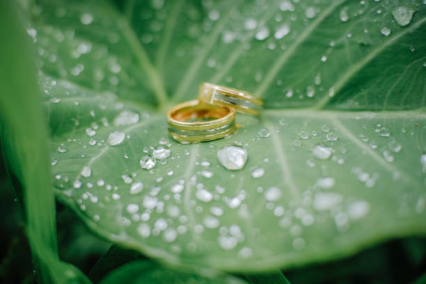 istock Wedding ring on a leaf with a grain of water 1291625425