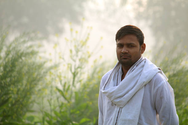 istock Indian farmer at Mustard field 1291626037