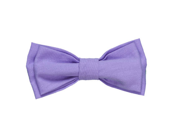 istock Colorful Bow Tie Isolated On White Background. 1291627339