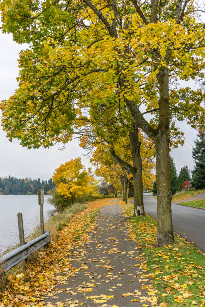 istock Autumn On Lake Shoreline 7 1291628549