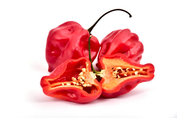 istock whole and one half habanero or Satan's peppers isolated on white 1291628583