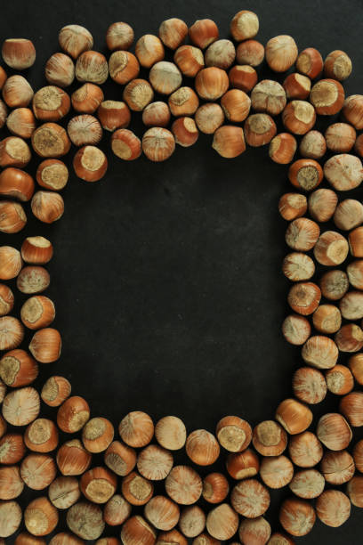 istock Hazelnuts on wooden backdrop. heap or stack of hazelnuts. healty food 1291631216