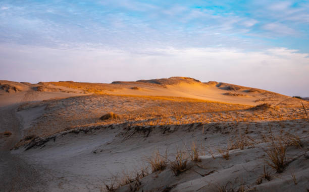 dune di sabbia collina con piante selvatiche e crateri - provincetown foto e immagini stock