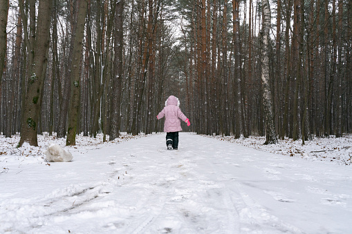 child walks through the snowy winter forest