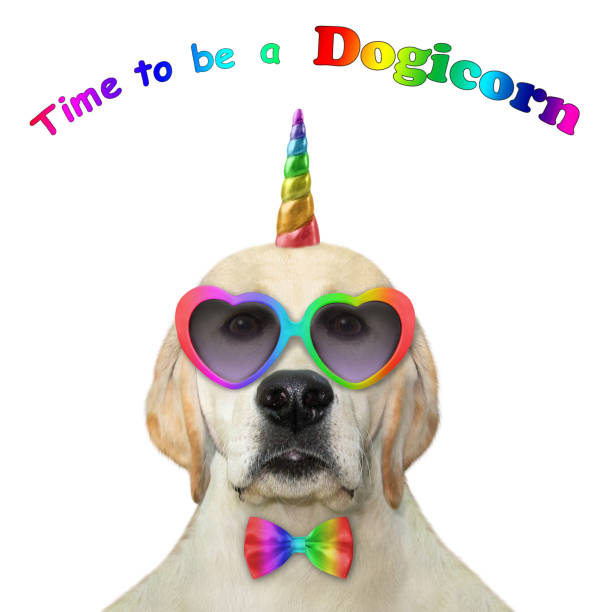istock Dogicorn in bow tie and glasses 2 1291636862