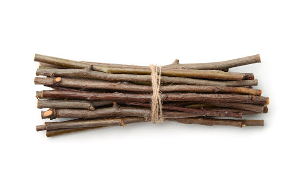 istock Bunch of wooden twigs 1291639862