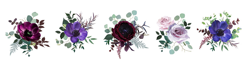 Marvelous violet, purple and burgundy anemone, dusty mauve and lilac rose, dark ranunculus, astilbe, eucalyptus vector design bouquets. Stylish fall wedding bunch of flowers. Isolated and editable