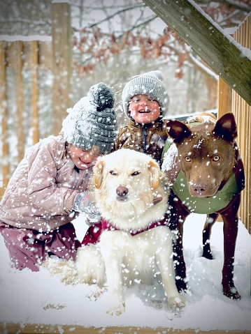 Siblings and their dogs go out to play in the first snowfall of the year