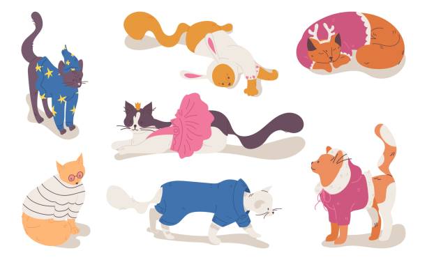 Various cats in clothes good for Christmas celebration, kitten wear shop and pets accessories. Cartoon lovely characters Various cats in clothes good for Christmas celebration, kitten wear shop and pets accessories. Cartoon lovely characters. domestic cat greece stock illustrations