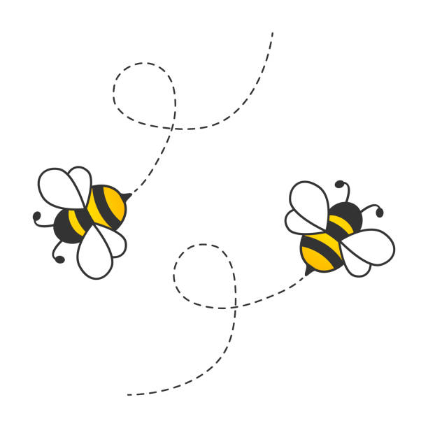 latające słodkie pszczoły z przerywaną trasą. - queen bee stock illustrations