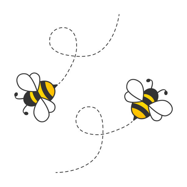 Flying cute bees with dotted route. Flying cute bees with dotted route. Vector cartoon insect illustration. Isolated on white bee stock illustrations