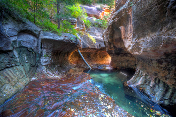 Erosion has shaped the sandstone walls at The Subway at Zion National Park\