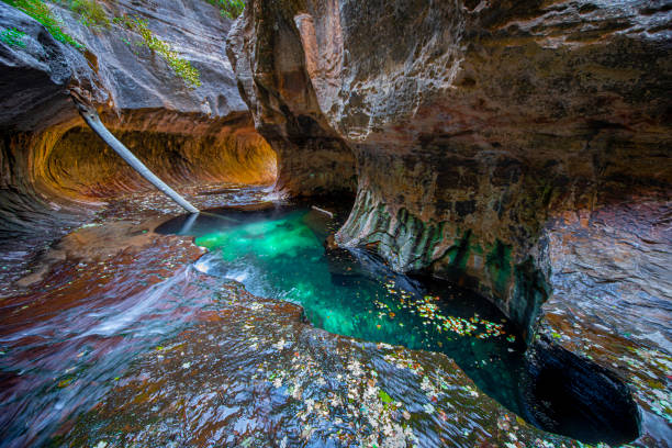Erosion has shaped the sandstone walls at The Subway at Zion National Park\