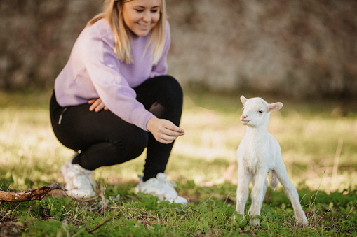 Young blonde woman with a newborn four hour old small lamb. Very selective focus on the lamb. Some over exposed areas and grain added.
