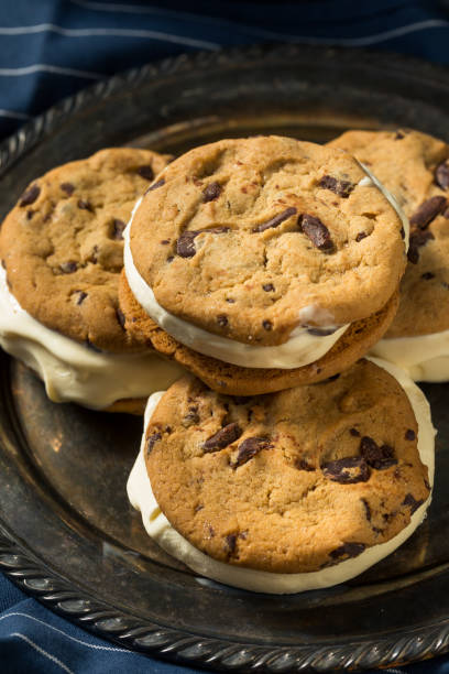 istock Homemade Ice Cream Sandwiches 1291656713