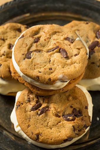 Homemade Ice Cream Sandwiches with Chocolate Chip Cookies
