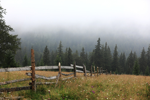 autumn meadow with a old wooden fence on a farm close up, in the Smoky Mountains on a foggy day. travel destination scenic, carpathian mountains.