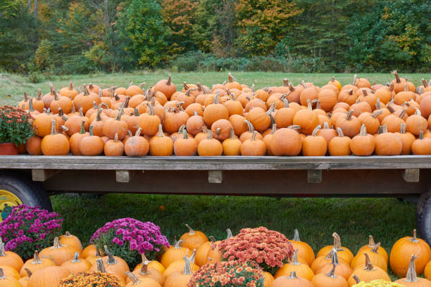istock pumpkin wagon with flowers 1291660364