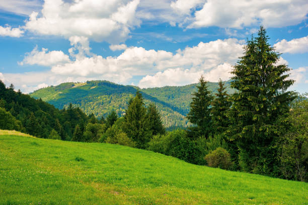 istock summer countryside in mountains 1291664851
