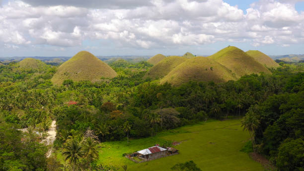 Chocolate hills.Bohol Philippines Natural formations known as chocolate hills.Bohol, Philippines, top view. chocolate hills photos stock pictures, royalty-free photos & images