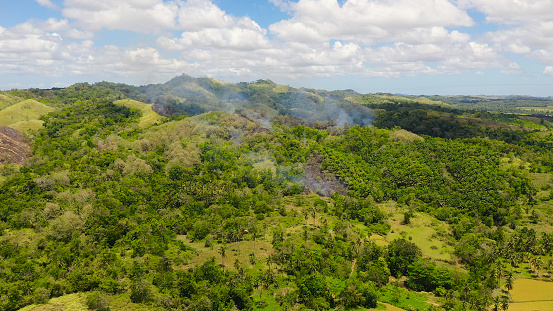 Aerial view of forest fire smoke on the slopes hills. Forest and tropical jungle deforestation for human food. Bohol,Philippines.