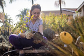 Beautiful Young Woman Planting a Tree