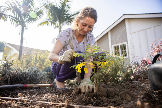 istock Beautiful Young Woman Planting a Tree 1291671397
