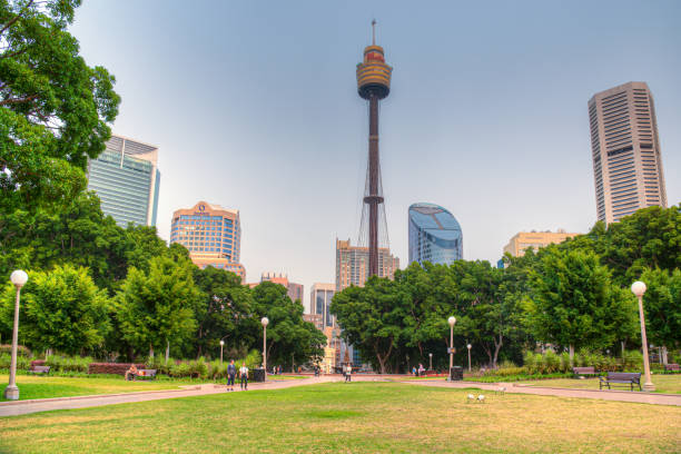 Sydney, Australia, December 29, 2019: Sydney Tower Eye viewed from Hyde park in Sydney, Australia