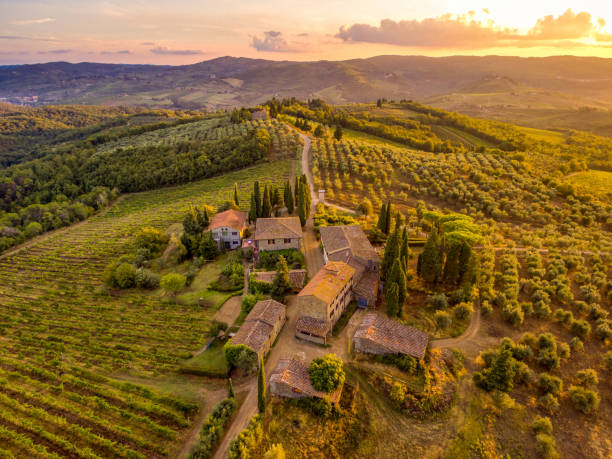 piccolo villaggio italiano al tramonto dal drone - oliveto foto e immagini stock