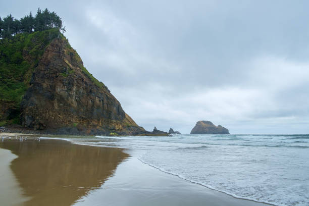 istock Short Beach, Tillamook, Pacific Northwest,Oregon, USA 1291679854