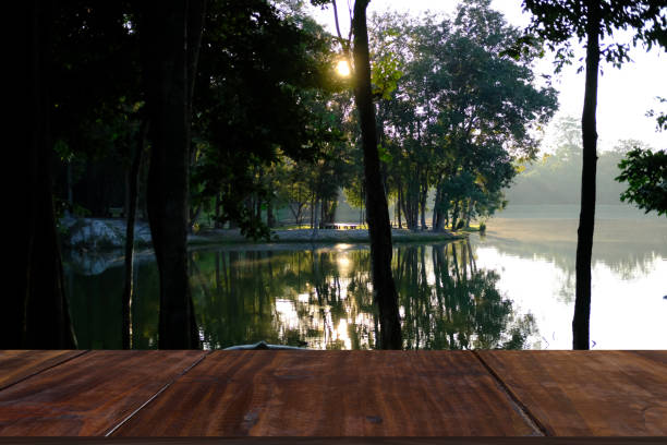 istock morning sunlight through tree. lake pond in park. 1291681993