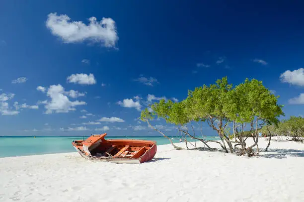 Pieces of an old boat resting at the sand in Palm Beach, Aruba in Oranjestad, Aruba