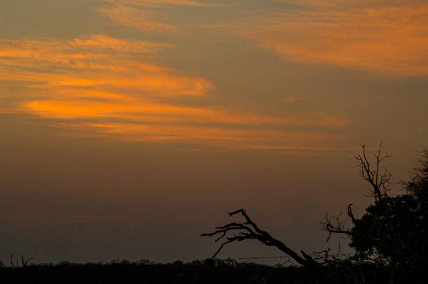 istock Sunset at South Africa 1291685456