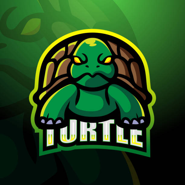 ilustrações, clipart, desenhos animados e ícones de projeto de emblema do mascote de tartaruga - terrapin
