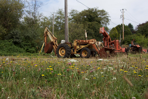 Abandoned Machines and Spring Flowers