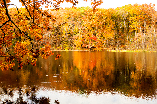 Fall colors reflected in the water of Birge Pond in Bristol, Connecticut.