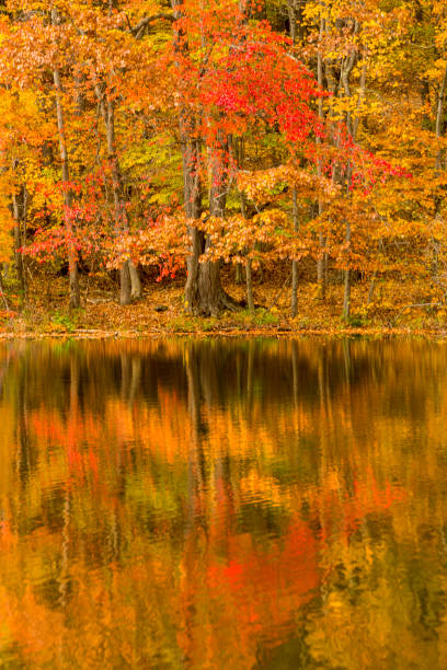 istock Fall colors and reflections in Birge Pond in Bristol, Connecticut. 1291702522