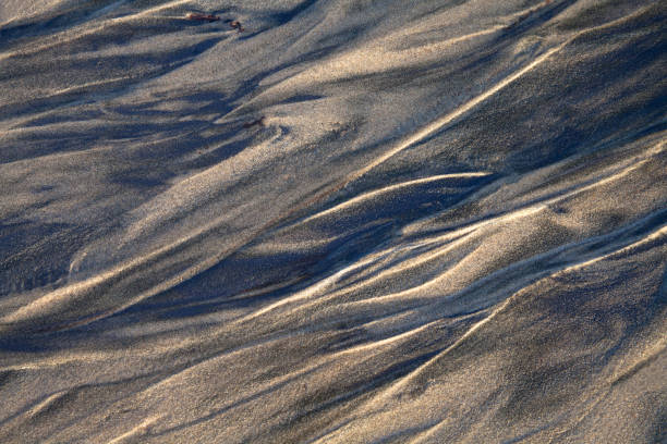 istock Mesmerizing sand patterns at low tide on Netarts Beach in Oregon 1291710811