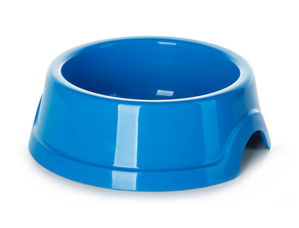 istock Blue bowl for pet food isolated on white background. 1291715061