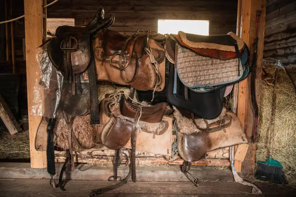 Leather saddles, soft blankets, steel stirrups and other riding equipment in the wooden stable on the ranch.