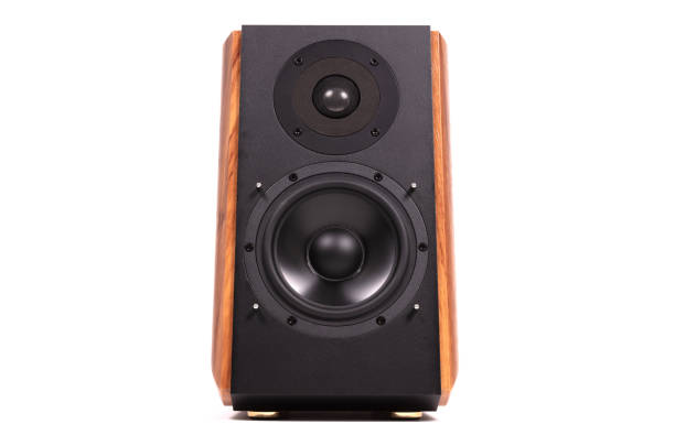 istock Isolated wood speaker, modern speaker on white 1291721411