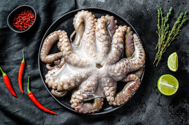 istock Fresh octopus with cooking ingredients, lime, thyme, chili pepper. Black background. Top view. 1291723014