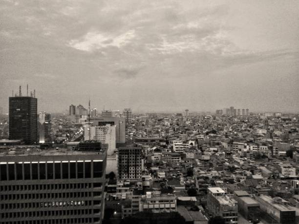 istock Monochrome city view 1291726205