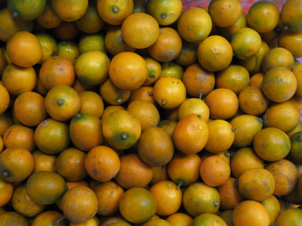 istock Beautiful fresh fruits 1291726360