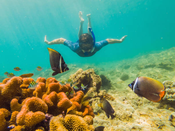 istock young men snorkeling exploring underwater coral reef landscape background in the deep blue ocean with colorful fish and marine life 1291727654