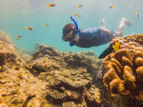 istock young men snorkeling exploring underwater coral reef landscape background in the deep blue ocean with colorful fish and marine life 1291727669