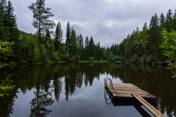 istock wooden jetty with railing at a clear mountain lake with reflection 1291729081