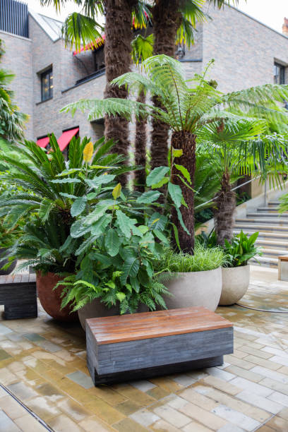 istock Plants and small palm trees with gray building as background 1291732946