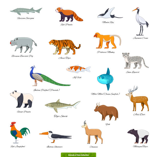 istock Animals of Asia Collection_01 1291737501