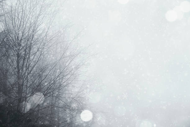 istock New year 2021 noel christmas background 1291739200